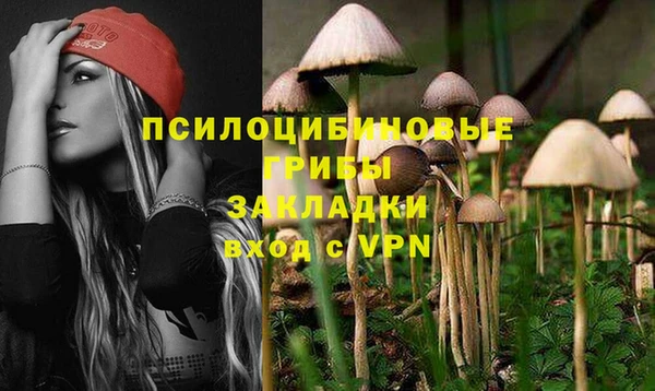 PSILOCYBIN Алексин