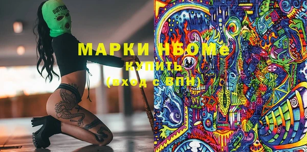 прущие грибы Абинск