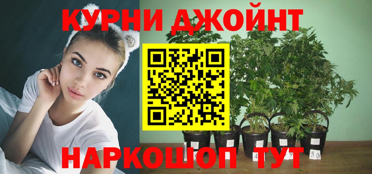 Конопля конопля Алексеевка